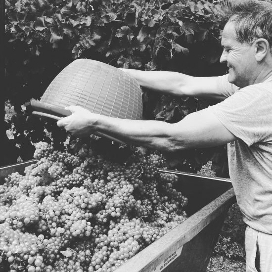 harvest 1 harvest 1